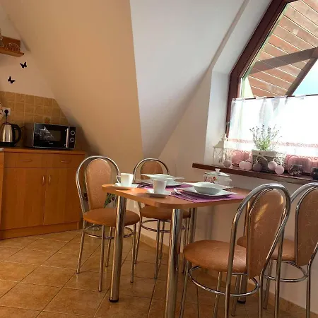 Apartment Apartament Widokowy Wiesia Zakopane