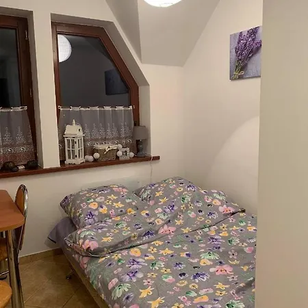 Apartament Widokowy Wiesia Apartment *